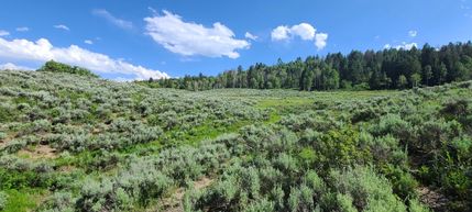 Farm and Ranch for sale in Utah County, Utah