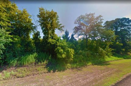 Undeveloped Land in Marion County, Texas