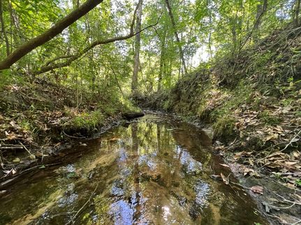 Timberland Property in Barbour County, Alabama