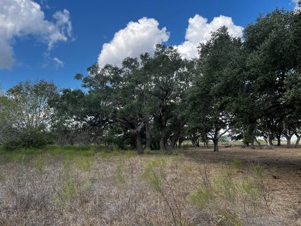 Timberland Property in Dewitt County, Texas