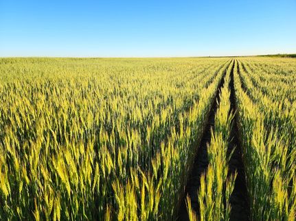 Timberland Property in Kimball County, Nebraska