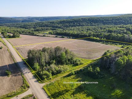 Undeveloped Land in Steuben County, New York