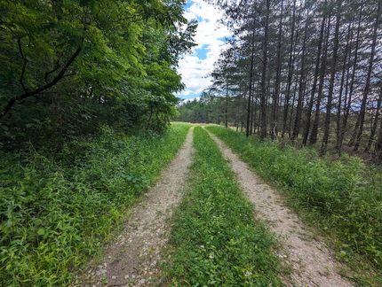 Undeveloped Land in Jefferson County, Ohio