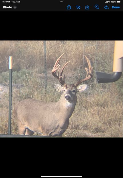 Recreational Property in Duval County, Texas