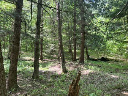Land in Lewis County, New York