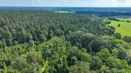 Hunting Property in Houston County, Texas