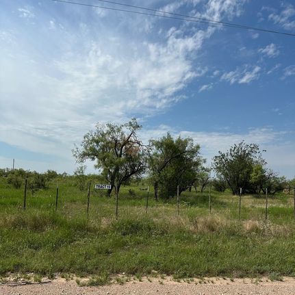 Undeveloped Land in Shackelford County, Texas