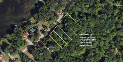 Recreational Property in Isabella County, Michigan