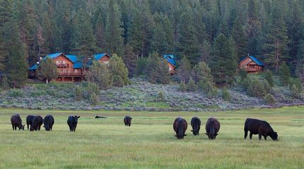 Undeveloped Land for sale in Klamath County, Oregon