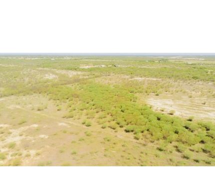 Farm and Ranch in Jim Wells County, Texas