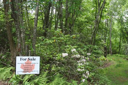 Undeveloped Land in Highland County, Virginia