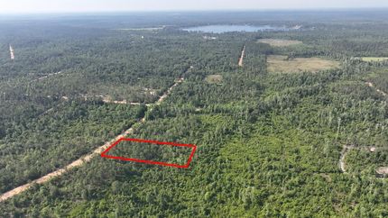 Farm and Ranch in Jackson County, Florida