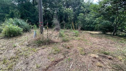 Undeveloped Land in Dale County, Alabama