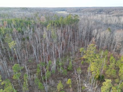 Farm and Ranch in Calloway County, Kentucky