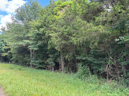 Undeveloped Land in Cass County, Texas
