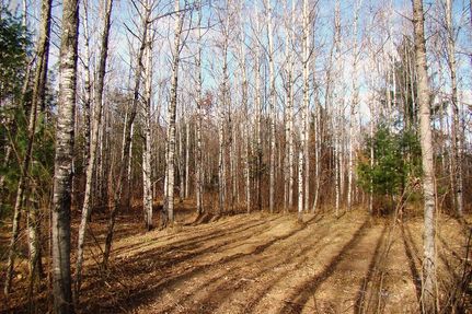 Recreational Property in Oneida County, Wisconsin