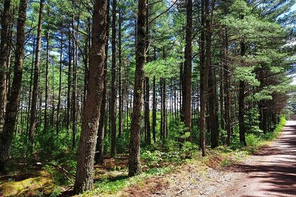 Farm and Ranch in Oneida County, Wisconsin
