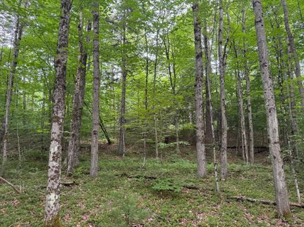 Undeveloped Land for sale in Cortland County, New York