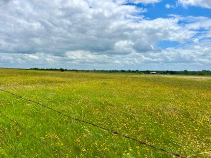 Horse Property for sale in Hamilton County, Texas