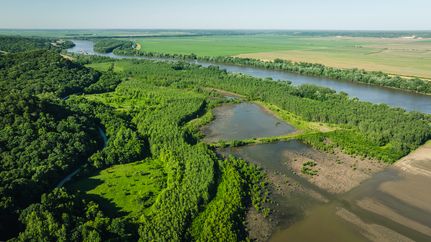 Farm and Ranch in Pike County, Illinois