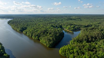 Undeveloped Land in Shelby County, Alabama