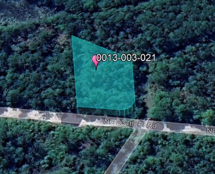 Undeveloped Land for sale in Marion County, Florida