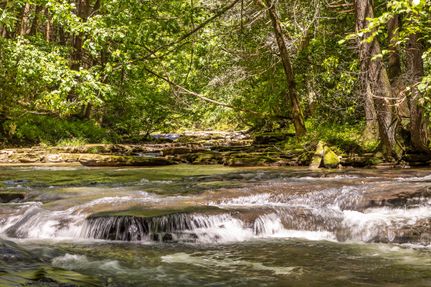Timberland Property in Bledsoe County, Tennessee