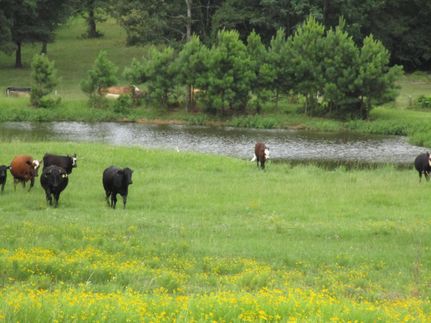 Farm and Ranch in Houston County, Texas