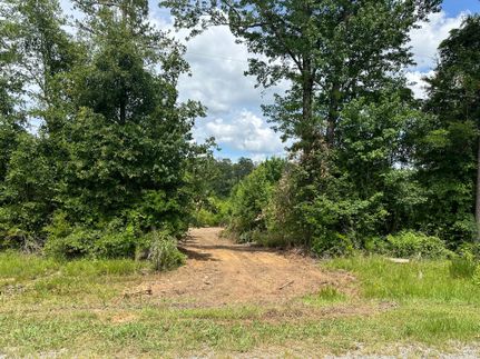 Recreational Property in Butler County, Alabama