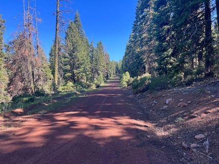 Undeveloped Land in Modoc County, California