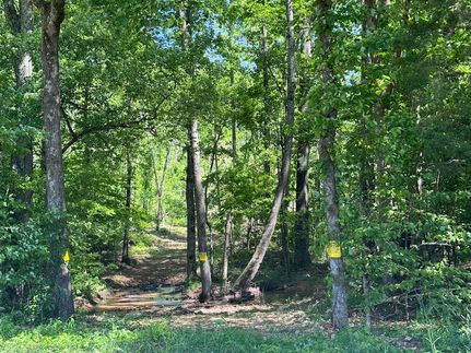Farm and Ranch in Wayne County, Tennessee