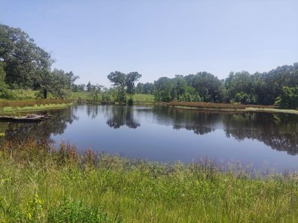 Land for sale in Red River County, Texas
