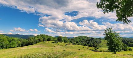 Farm and Ranch in Pocahontas County, West Virginia