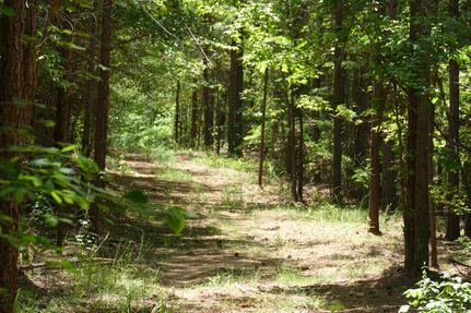 Hunting Property in Coosa County, Alabama