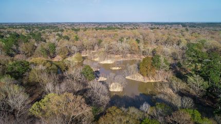Farm and Ranch for sale in Montgomery County, Texas