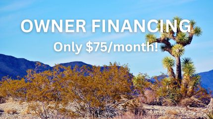 Undeveloped Land in Mohave County, Arizona