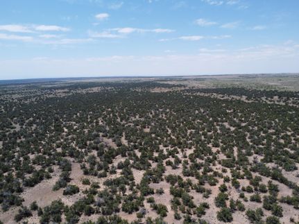 Farm and Ranch in Apache County, Arizona