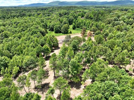 Land for sale in Polk County, Arkansas