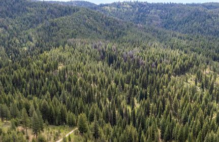 Farm and Ranch for sale in Valley County, Idaho