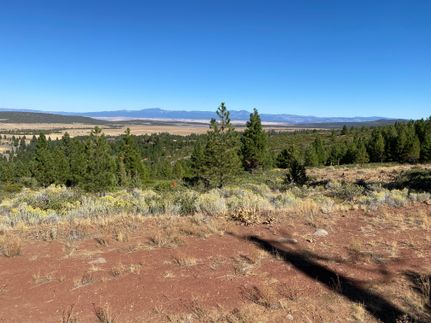 Undeveloped Land in Modoc County, California