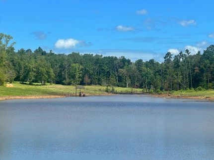 Timberland Property in Leon County, Texas
