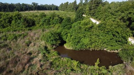 Undeveloped Land in Red River County, Texas