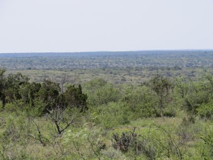 Undeveloped Land in Terrell County, Texas