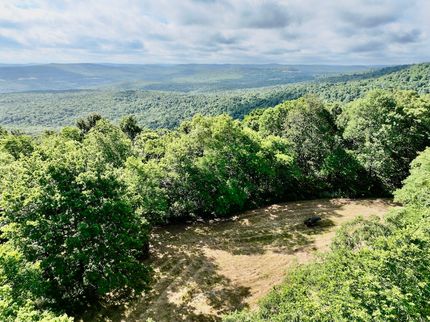 Undeveloped Land in Madison County, Arkansas