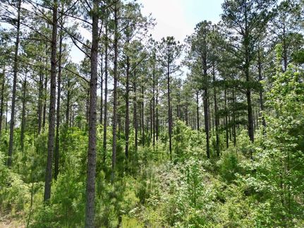 Recreational Property in Barbour County, Alabama