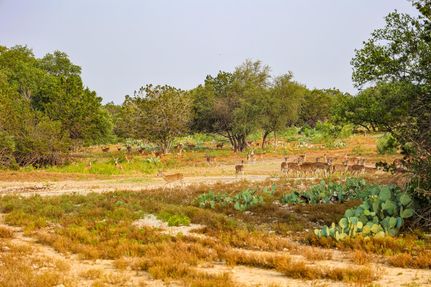 Farm and Ranch for sale in Crockett County, Texas