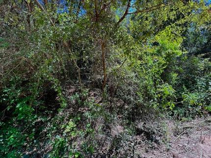 Farm and Ranch in Tyler County, Texas