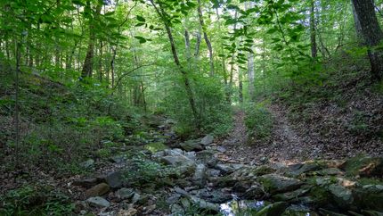 Recreational Property in Talladega County, Alabama