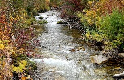 Timberland Property in Boise County, Idaho