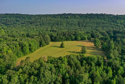 Timberland Property in Perry County, Arkansas